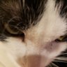 Profilbild von こ