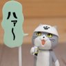 Profilbild von どんすう