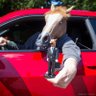 Vincent Brown 🏴☠️🐴 profil fotoğrafı