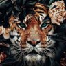 sonyyy🇹🇷 profil fotoğrafı