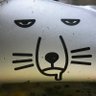 にゃ 的头像