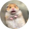 E2_Sant's profile picture