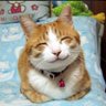 Profilbild von らららこっぺぱん