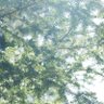 Фото профиля sgkz