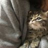 なっちゃん 的头像
