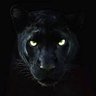 PP83 profil fotoğrafı