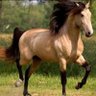 Фото профиля Wahome