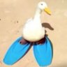 Kayky Hardy profil fotoğrafı