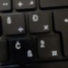 quidnunc profil fotoğrafı