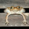 Jacques Hartog profil fotoğrafı