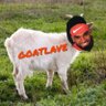 Chuck Steimy's profile picture