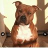 Titi's profile picture