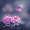 nour_alhuda profil fotoğrafı
