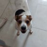 Silvio A M Torres's profile picture