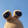 Profilbild von Slashomi