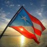 David valladares 🇵🇷 ✊🏽's profile picture