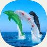 Ameer Asoad's profile picture