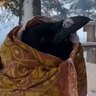 SlickBirdMan 的头像