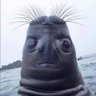 Profilbild von ?