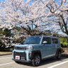 Фото профиля ⚒どんぐり(じゅるさん)湖タフト乗り