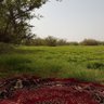 وجه البسيطة's profile picture