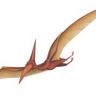 RYAN EVANS's profile picture
