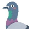hato360 profil fotoğrafı