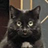 бритничица's profile picture