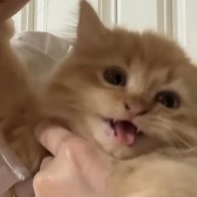 เลิฟรัก's profile picture