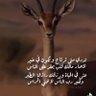 نجد's profile picture