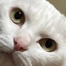 きょうちゃん's profile picture