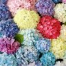 Фото профиля sugar_kne5