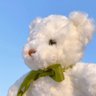 Joyzhang's profile picture