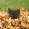 Profilbild von Catelynn