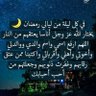 على نصر's profile picture