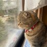 佐藤和夫 profil fotoğrafı
