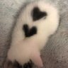 Profilbild von 𝙅𝙪𝙥𝙞𝙩𝙚𝙧 ♡ ⋆。˚