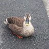 もっくん 的头像