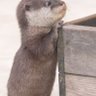 先生's profile picture
