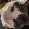 riftan’s love bites ❤️‍🔥's profile picture