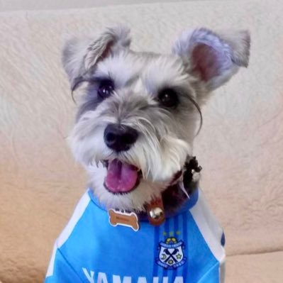sonic_blv_555's profile picture