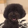けん profil fotoğrafı