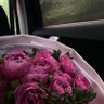 Фото профиля عَفراء.