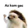 p_vtrk's profile picture