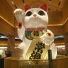 ゆっち profil fotoğrafı