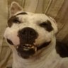 Doki's profile picture