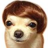 Profilbild von MissValDiorr