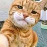 Profilbild von Pablodangelo