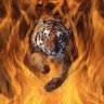 Alex Gorvic's profile picture