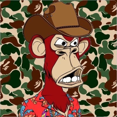 wittmann's profile picture
